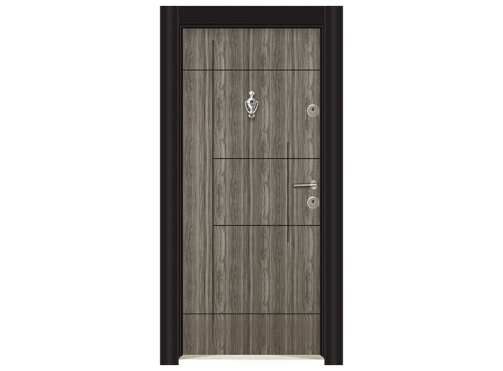 Porte blindée Parkdoor -SL205- 9229 (L.:900mm ; H.:2000mm)