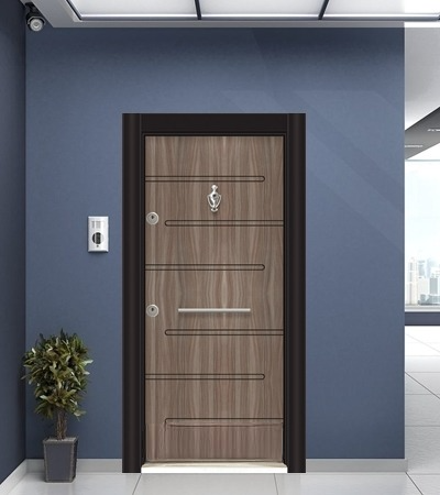 Porte blindée Parkdoor -SL205- 9229 (L.:900mm ; H.:2000mm)