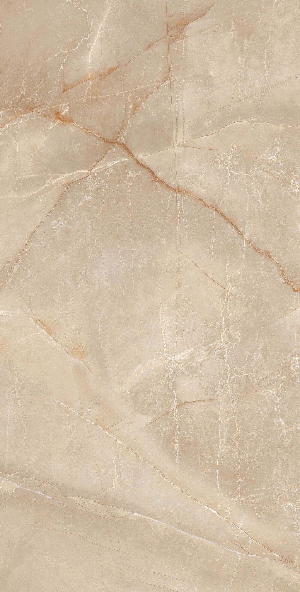 BUILD 1 B POLISHED 104CP11 - 60x120 - 22,59/m² - Pack 50 m²