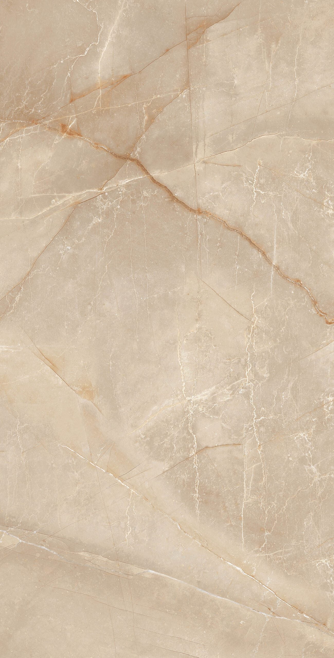 BUILD 1 B POLISHED 104CP11 - 60x120 - 22,59/m² - Pack 50 m²