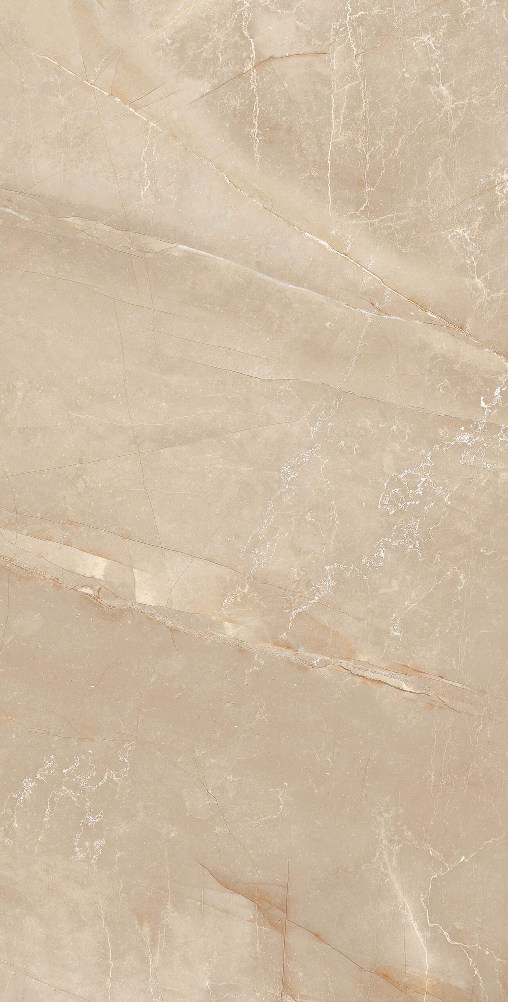 BUILD 1 B POLISHED 104CP11 - 60x120 - 22,59/m² - Pack 50 m²
