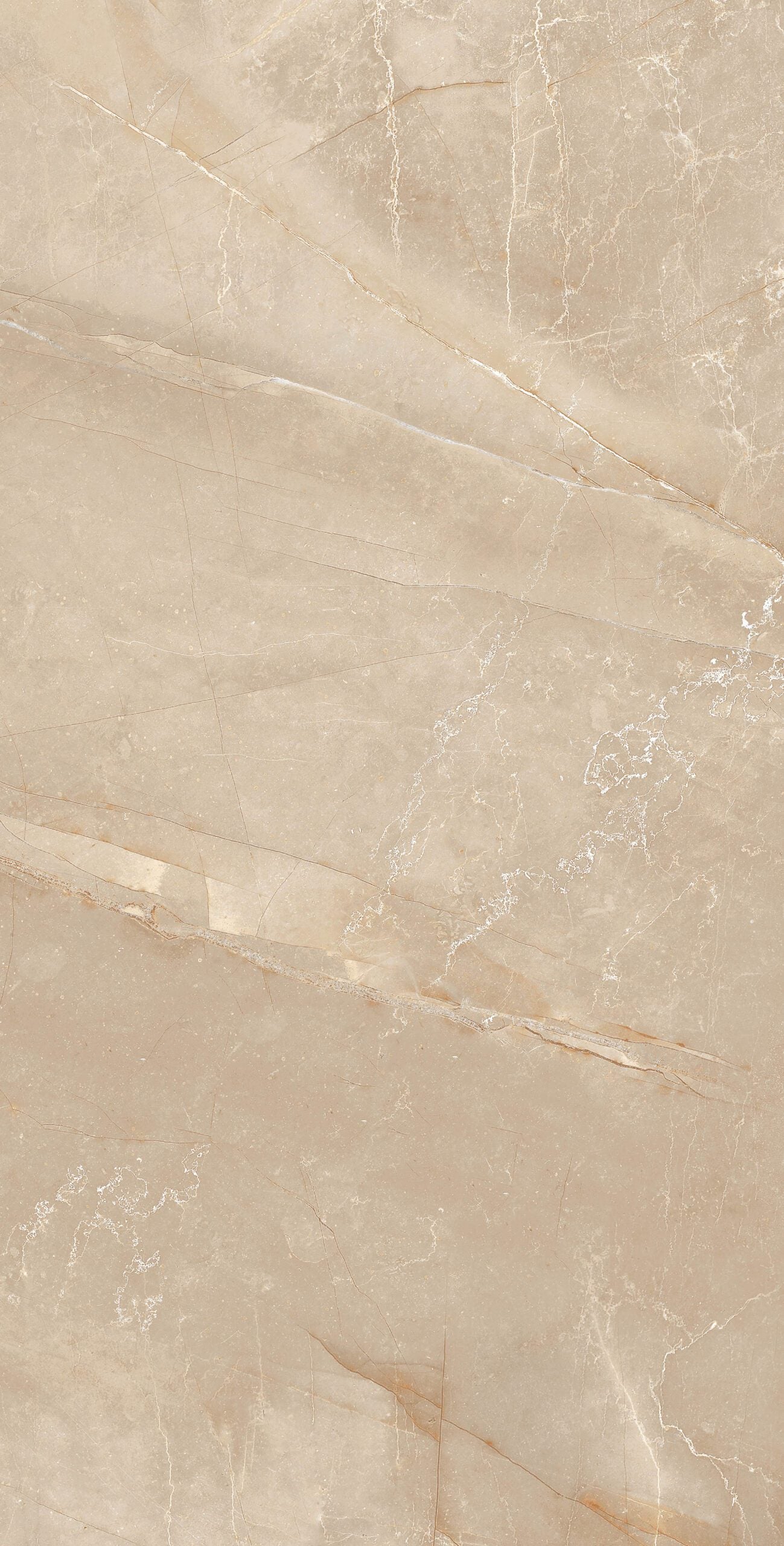 BUILD 1 B POLISHED 104CP11 - 60x120 - 22,59/m² - Pack 50 m²