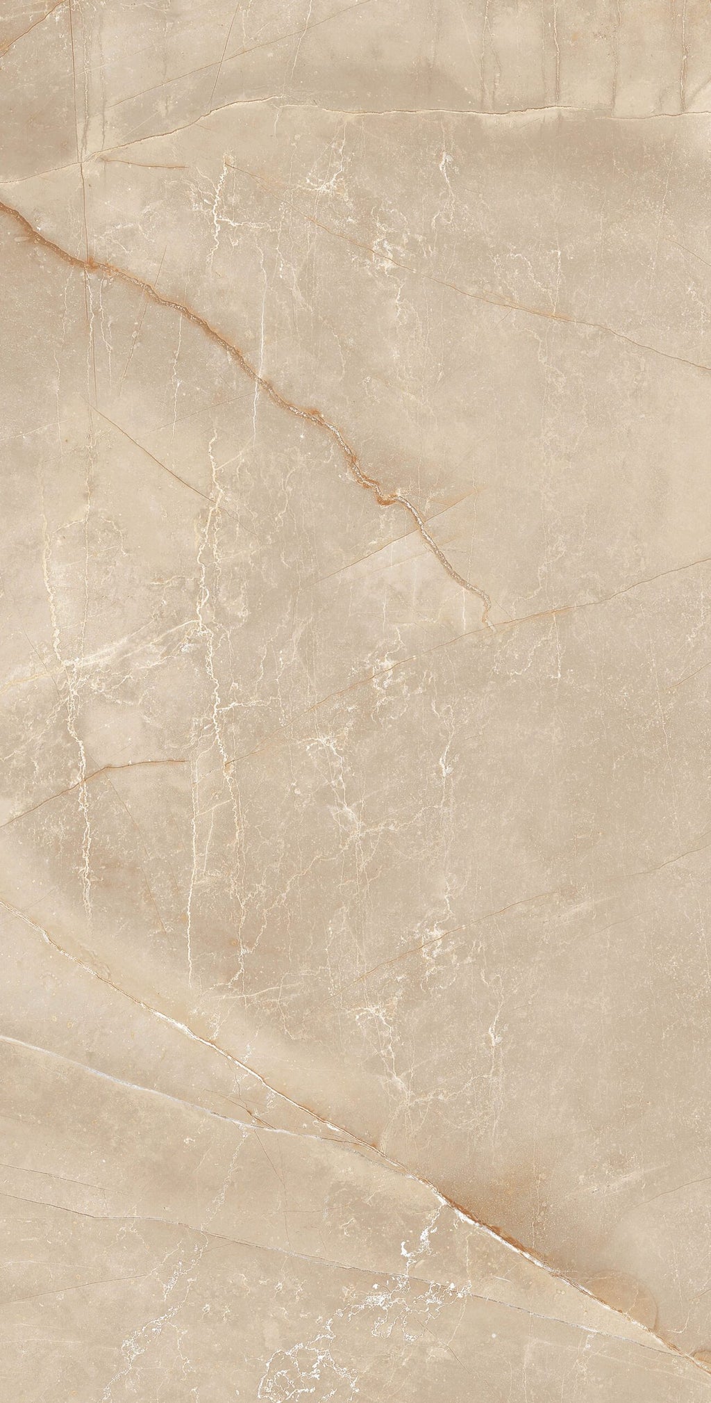 BUILD 1 B POLISHED 104CP11 - 60x120 - 22,59/m² - Pack 50 m²