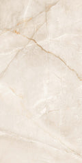 BUILD 1LB 169CC11 - 60x120 -22,59€/m² - Pack 50m²