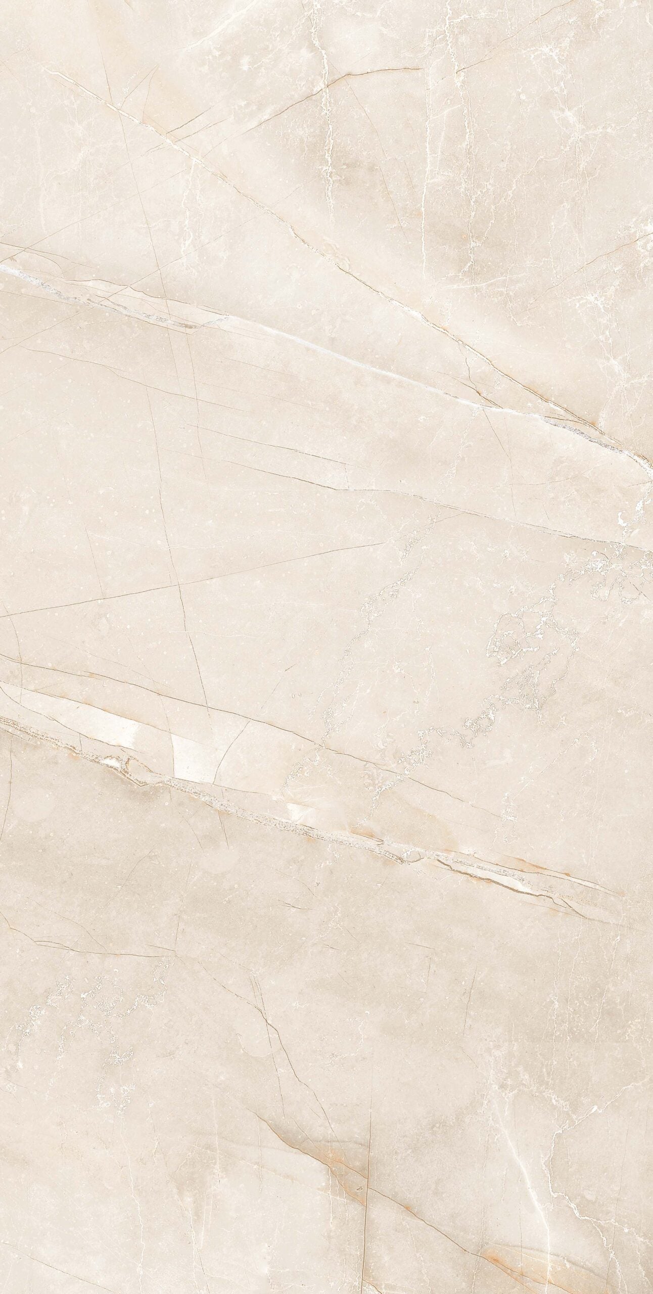 BUILD 1LB 169CC11 - 60x120 -22,59€/m² - Pack 50m²